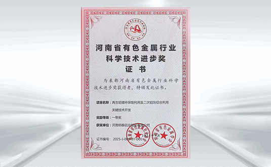 科学技术进步奖一等奖(明泰铝业）