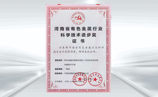 科学技术进步奖一等奖(明晟新材）